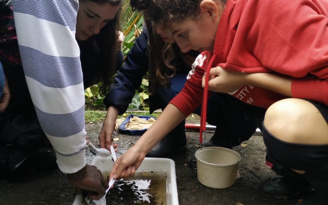 Mostbet Casino AZ - Bonusları və Promo Aksiyaları: Mükəmməl İşləməsi və İftiraxlar